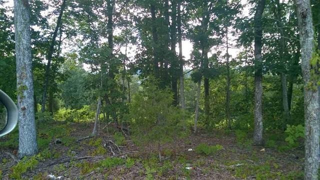 LOT104 Peach Orchard Hill Rd NE, Cleveland TN, 37323 land for sale