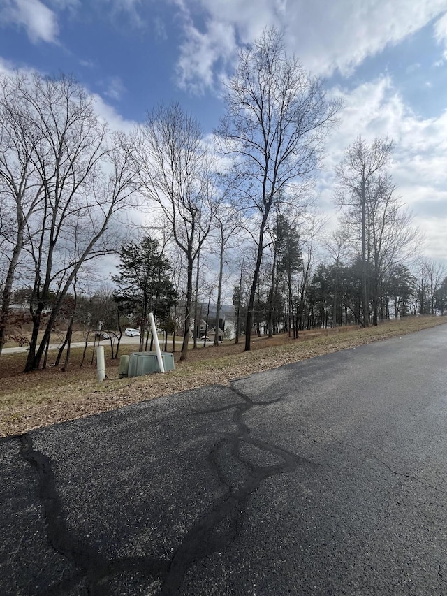 Listing photo 3 for 0 E Shore Dr, Rockwood TN 37854