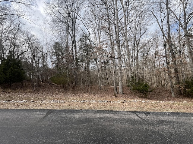 0 E Shore Dr, Rockwood TN, 37854 land for sale