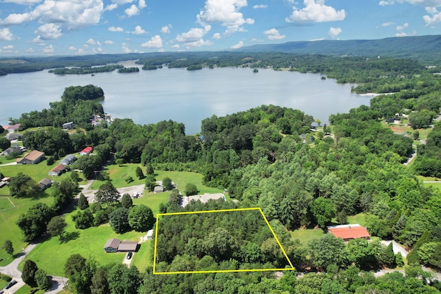00 Dreamland Rd, Spring City, TN 37381