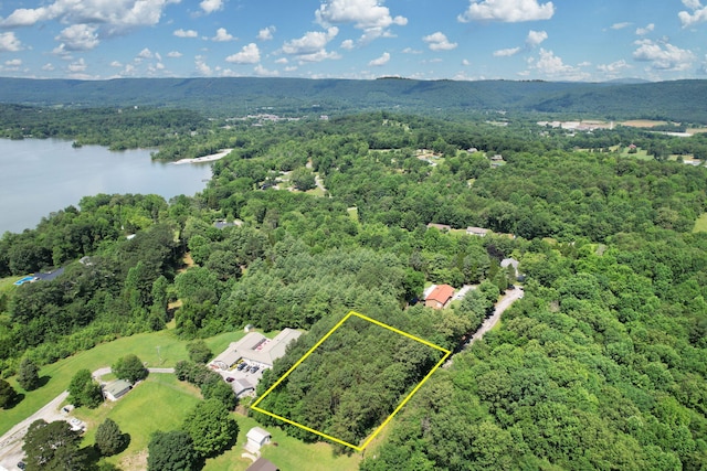 00 Dreamland Rd, Spring City, TN 37381