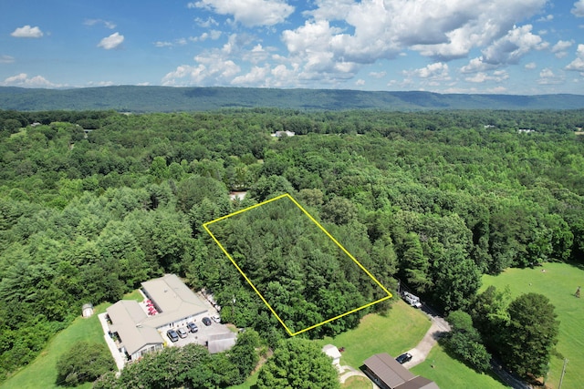 00 Dreamland Rd, Spring City, TN 37381
