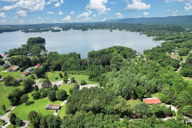 00 Dreamland Rd, Spring City, TN 37381