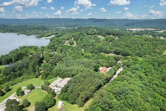 00 Dreamland Rd, Spring City, TN 37381