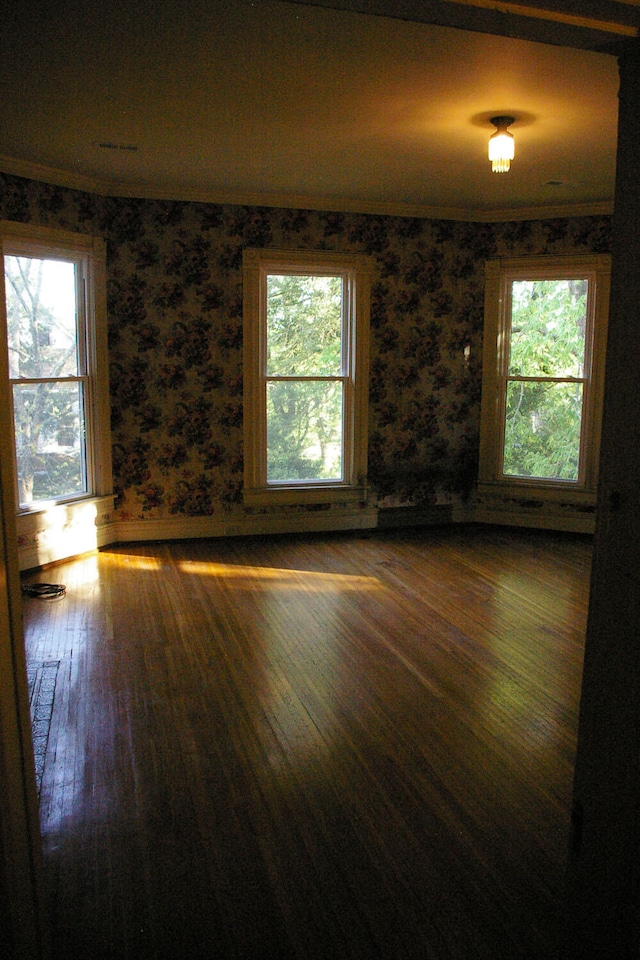 empty room featuring a healthy amount of sunlight, hardwood / wood-style flooring, and wallpapered walls