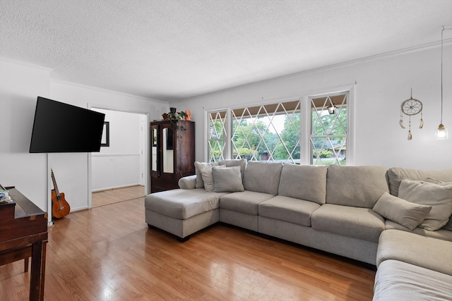 living room featuring ornamental molding, a textured ceiling, and light wood-style flooring