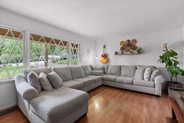 living area with a textured ceiling and light wood-type flooring