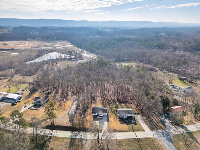 drone / aerial view featuring a mountain view