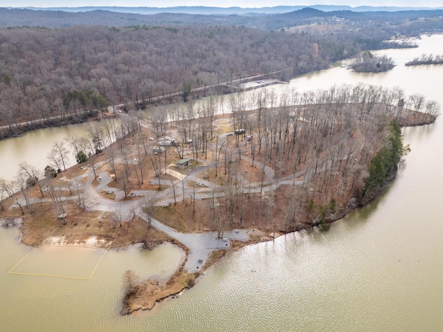 bird's eye view with a water and mountain view