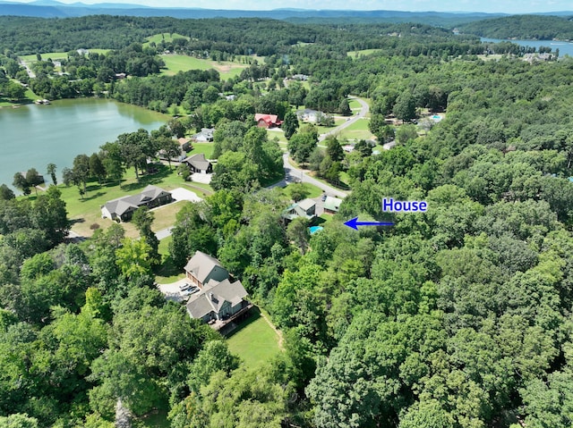 1150 Pin Hook Rd, Spring City, TN 37381 - aerial view of property and surrounding area featuring a heavily wooded area