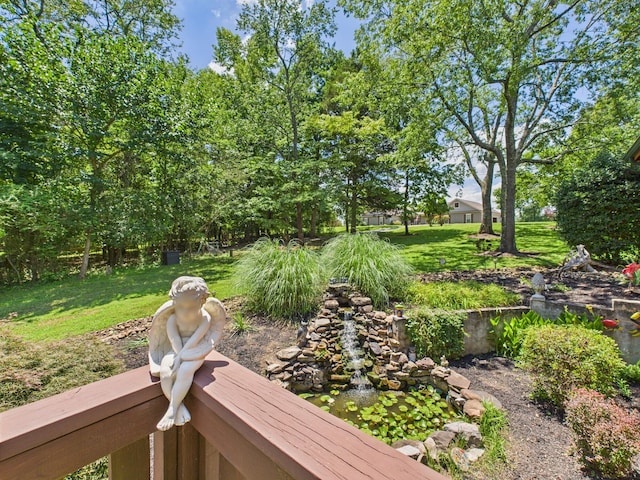 1150 Pin Hook Rd, Spring City, TN 37381 - view of grassy yard