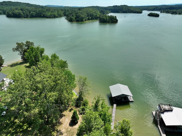 1150 Pin Hook Rd, Spring City, TN 37381 - drone / aerial view of a nearby body of water