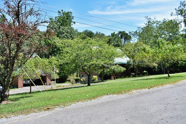 1150 Pin Hook Rd, Spring City, TN 37381 - view of asphalt road