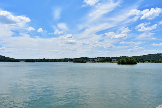 1150 Pin Hook Rd, Spring City, TN 37381 - water view