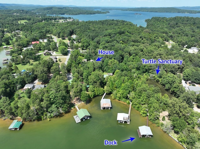 1150 Pin Hook Rd, Spring City, TN 37381 - view of property location featuring a nearby body of water