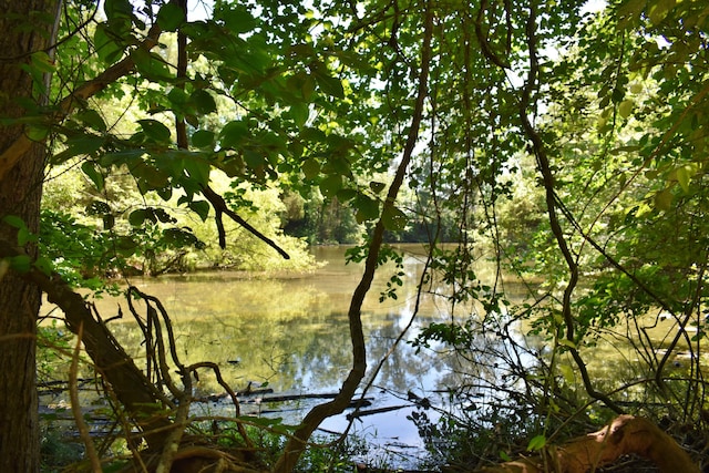 1150 Pin Hook Rd, Spring City, TN 37381 - water view