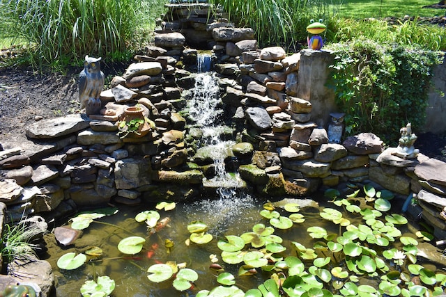 1150 Pin Hook Rd, Spring City, TN 37381 - exterior view of a garden pond