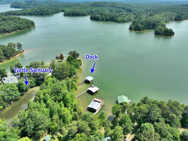 1150 Pin Hook Rd, Spring City, TN 37381 - bird's eye view of a heavily wooded area and a large body of water