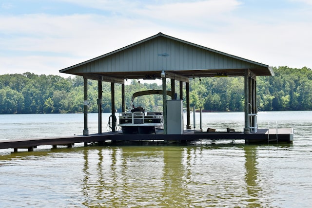 1150 Pin Hook Rd, Spring City, TN 37381 - dock area with boat lift, a water view, and a forest view