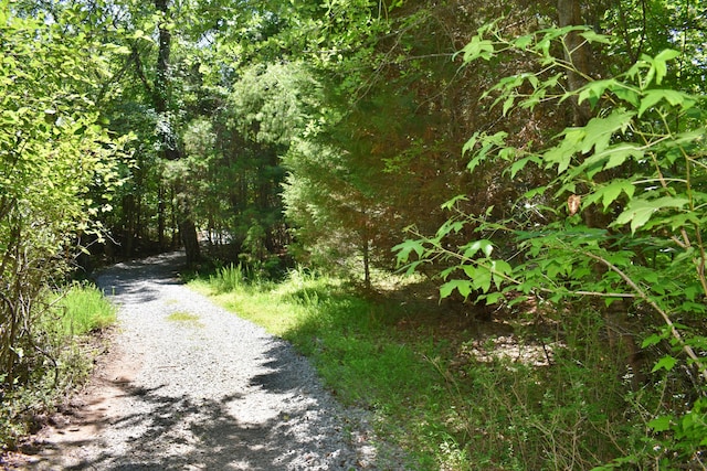 1150 Pin Hook Rd, Spring City, TN 37381 - view of street