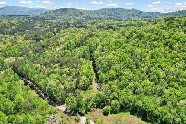 drone / aerial view with a mountain view and a forest view