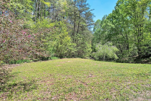 view of yard with a forest view