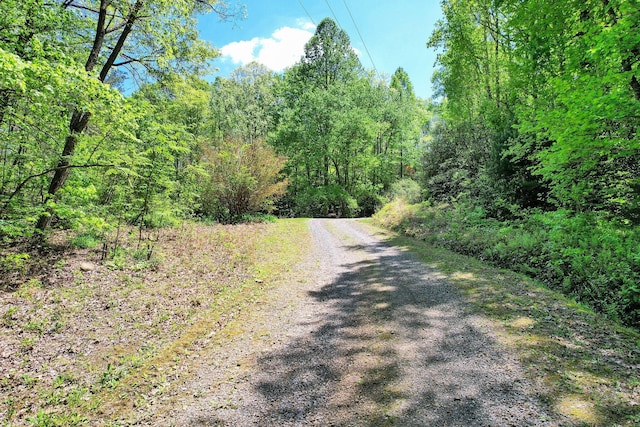 view of street with a view of trees