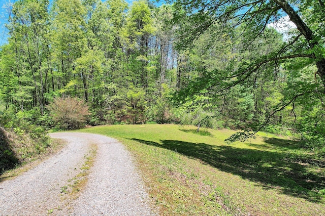 view of road with a view of trees