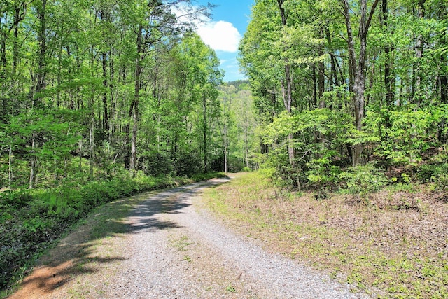 view of road featuring a wooded view