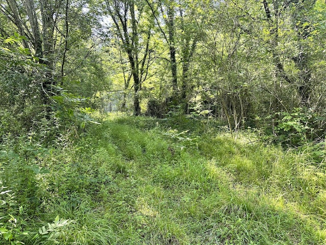 Listing photo 3 for 7.7ACRES Waterlevel Hwy, Cleveland TN 37323