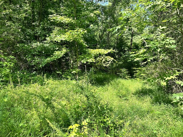 7.7ACRES Waterlevel Hwy, Cleveland TN, 37323 land for sale