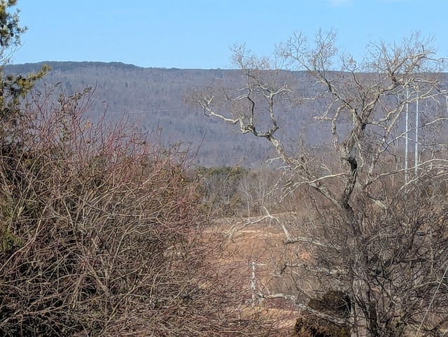 view of mountain feature