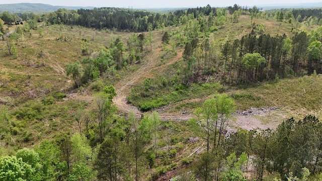 13406 Eldridge Rd, Harrison, TN 37341