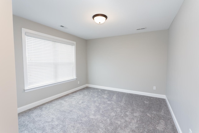 spare room with a wealth of natural light and carpet floors