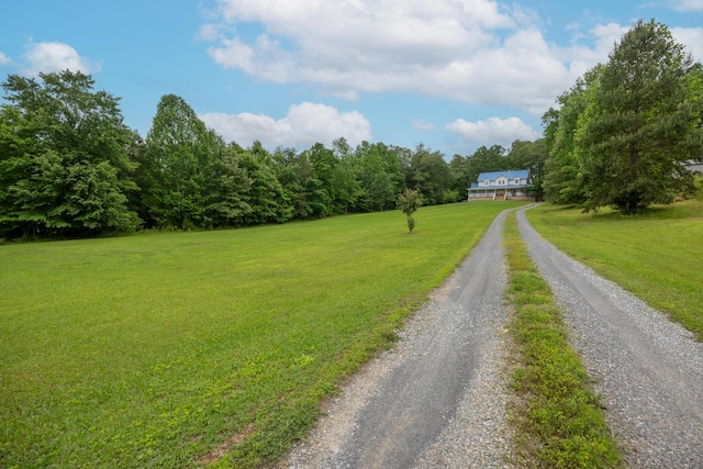309 County Road 135, Athens, TN 37303 - photo 39