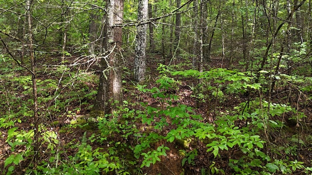 0 Steer Creek Rd, Tellico Plains, TN 37385 - photo 1