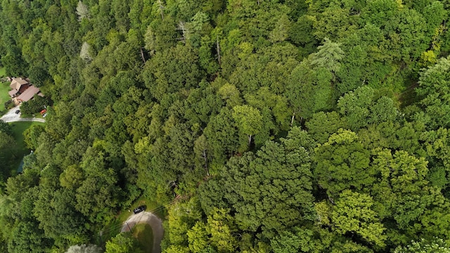 0 Steer Creek Rd, Tellico Plains, TN 37385 - photo 3