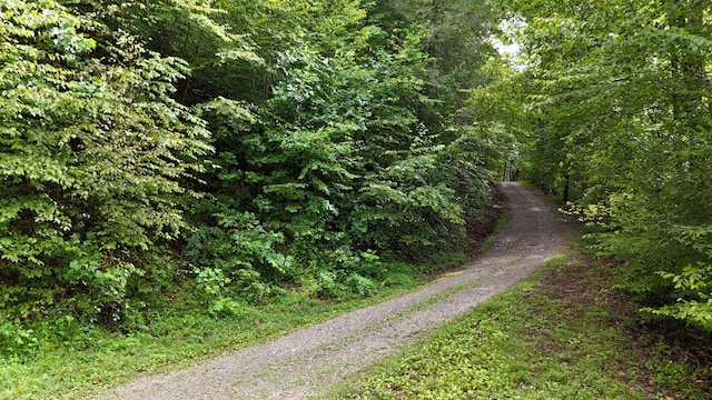 0 Steer Creek Rd, Tellico Plains, TN 37385 - photo 2