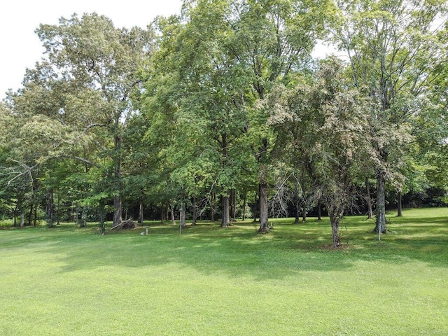 509 Carroll St, Etowah, TN 37331 - photo 25