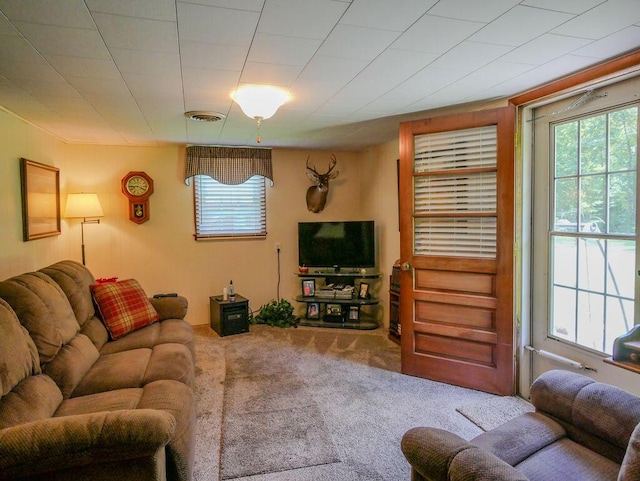 509 Carroll St, Etowah, TN 37331 - photo 11