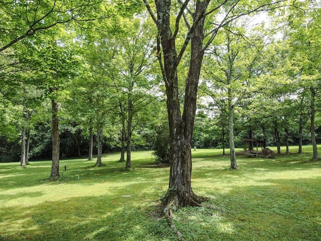 509 Carroll St, Etowah, TN 37331 - photo 21