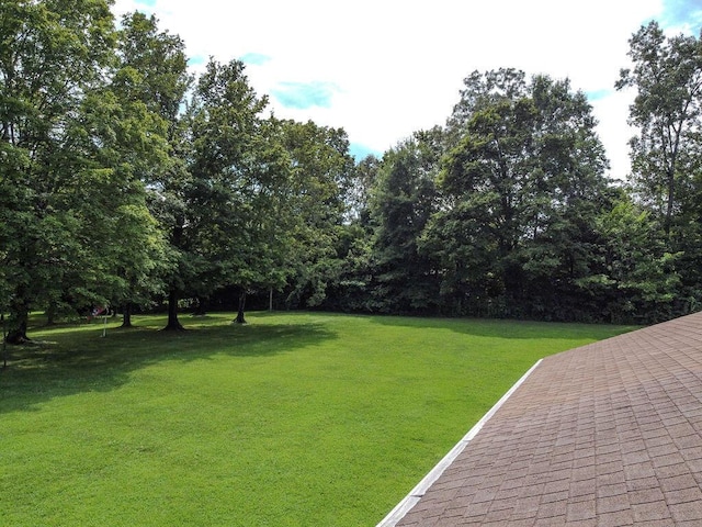 509 Carroll St, Etowah, TN 37331 - photo 24