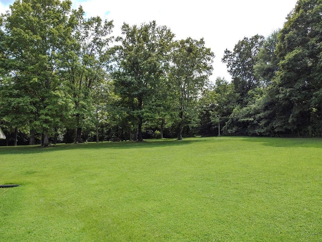 509 Carroll St, Etowah, TN 37331 - photo 19