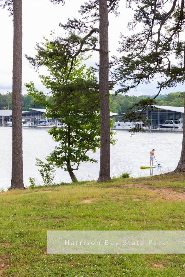 11249 Possum Trail Rd, Harrison, TN 37341 - water view