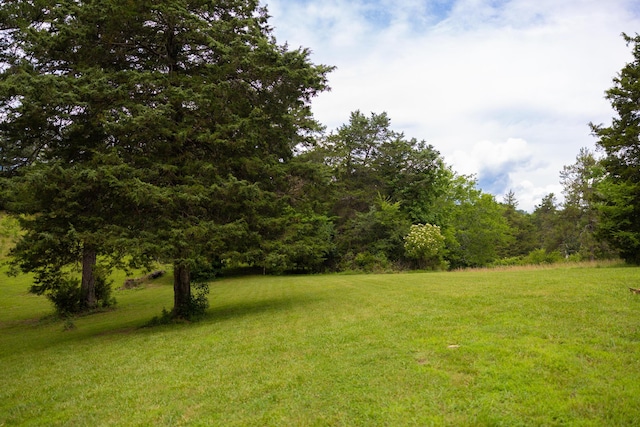 11249 Possum Trail Rd, Harrison, TN 37341 - view of green lawn