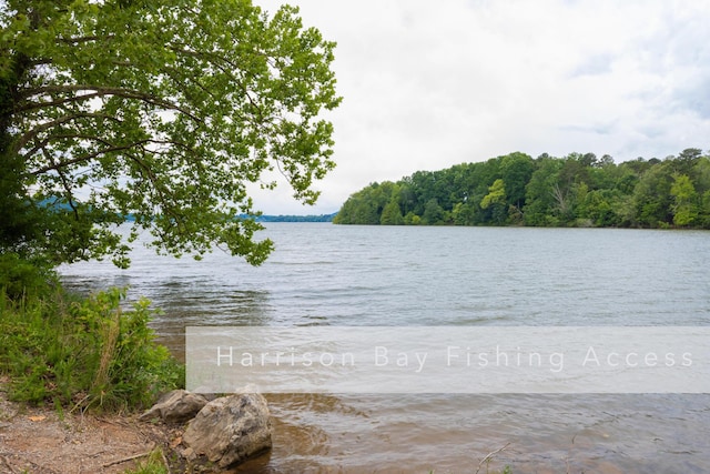 11249 Possum Trail Rd, Harrison, TN 37341 - water view