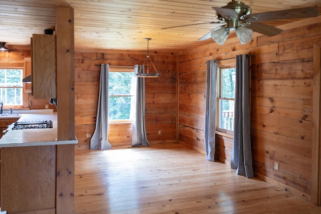 11249 Possum Trail Rd, Harrison, TN 37341 - unfurnished dining area featuring healthy amount of natural light, a ceiling fan, light wood-style flooring, wood walls, and a sink