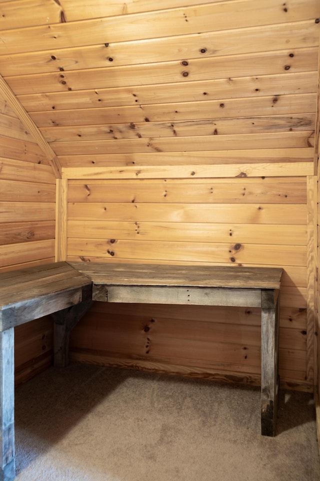11249 Possum Trail Rd, Harrison, TN 37341 - relaxing sauna / steam room featuring carpet and wood walls