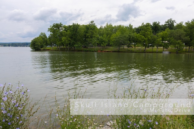 11249 Possum Trail Rd, Harrison, TN 37341 - water view