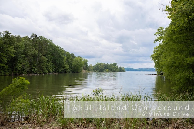 11249 Possum Trail Rd, Harrison, TN 37341 - water view with a forest